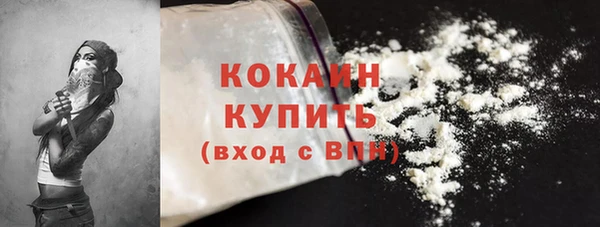 дживик Кулебаки