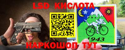 прущие грибы Бийск