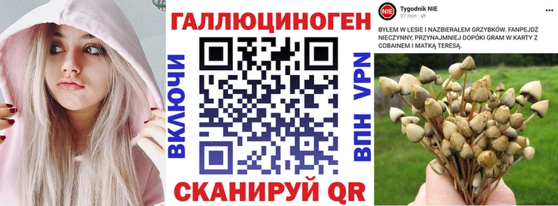 дарнет шоп  Благодарный  Псилоцибиновые грибы мухоморы 