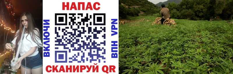 Шишки марихуана THC 21%  Благодарный 
